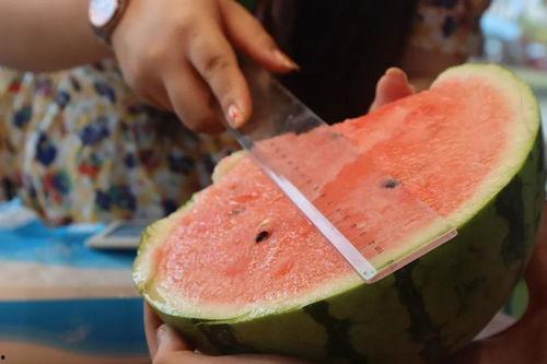 浦东吃瓜直播视频,吃瓜群众围观美食盛宴