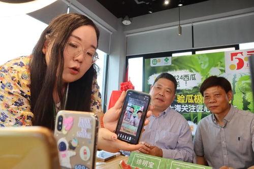 浦东吃瓜直播视频,吃瓜群众围观美食盛宴