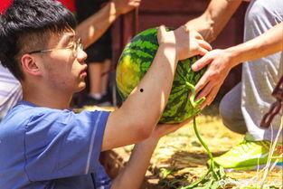 柳琴戏吃瓜,一场别开生面的戏曲盛宴