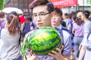 柳琴戏吃瓜,一场别开生面的戏曲盛宴