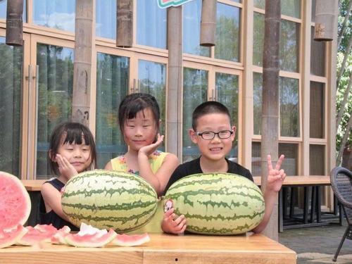 最后的赢家吃瓜