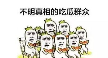 我就是吃瓜而已