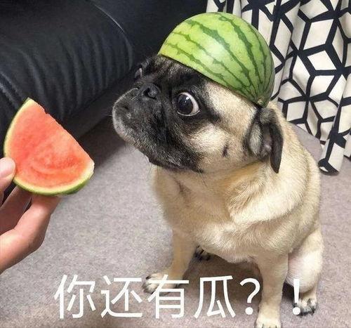 最新吃瓜视频资源,明星幕后故事大曝光！