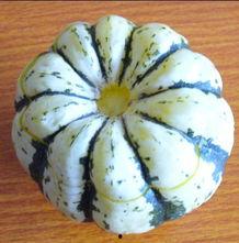 宝宝吃的小瓜,营养美味，健康成长