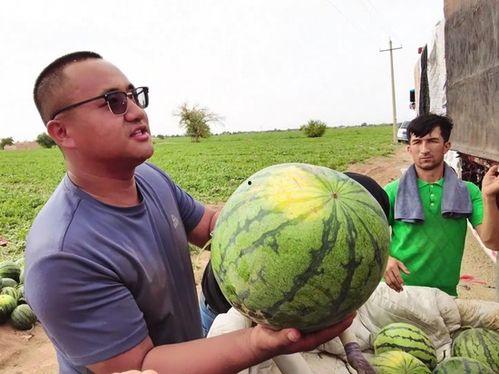 郁闷装深沉吃瓜,探寻心灵慰藉的趣味之道