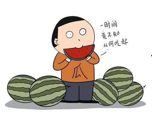 吃瓜的瓜用英文怎么说,From 'Eating Watermelons' to English: A Journey Through the Translation of 'Guwa'