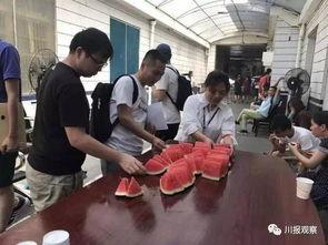 成都吃瓜群众图片