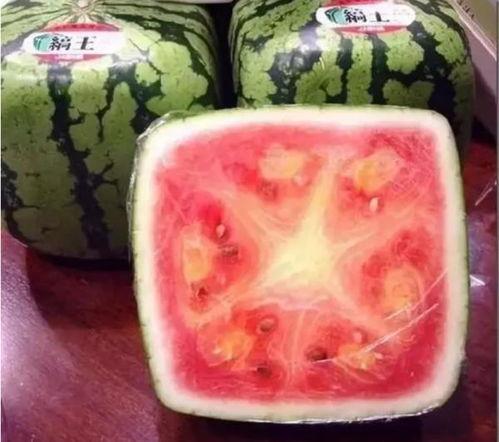 吃瓜老外铁蛋,揭秘国际视角下的中国网络文化现象