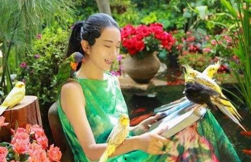 人间吃瓜作品,揭秘娱乐圈幕后真相