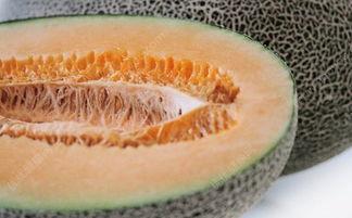 吃哈密瓜烧舌头,舌尖上的甜蜜冒险