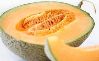 吃哈密瓜烧舌头,舌尖上的甜蜜冒险