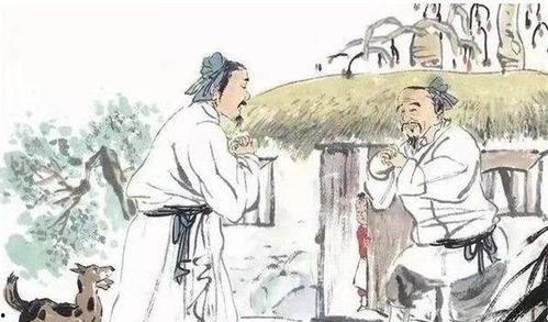 小说坟前吃瓜,揭秘尘封往事的惊悚悬疑之旅